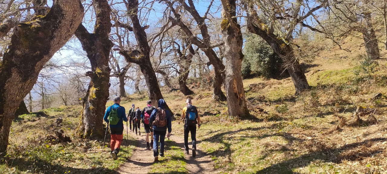 WhatsApp Image 2026-03-23 at 08.14.05 (4)